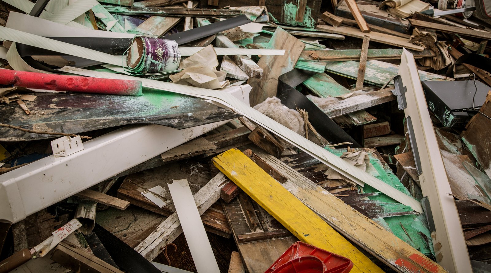 art-of-sandy-mo-seagate 2-20.jpg